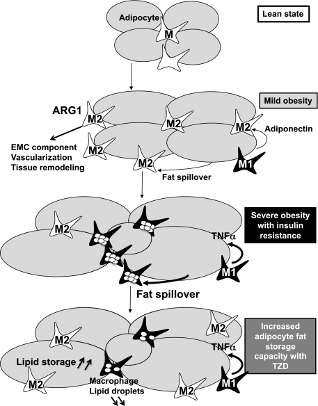 FIG. 8.