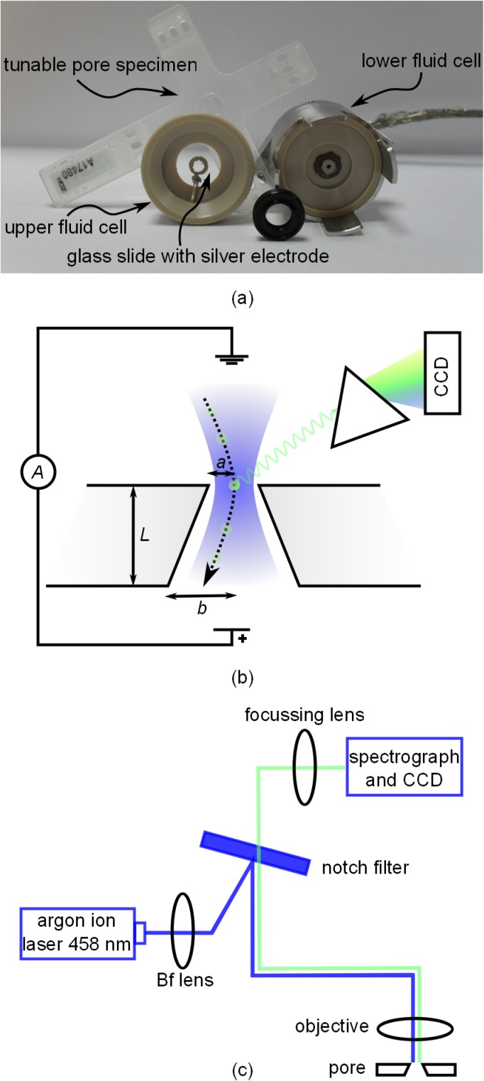 FIG. 1.