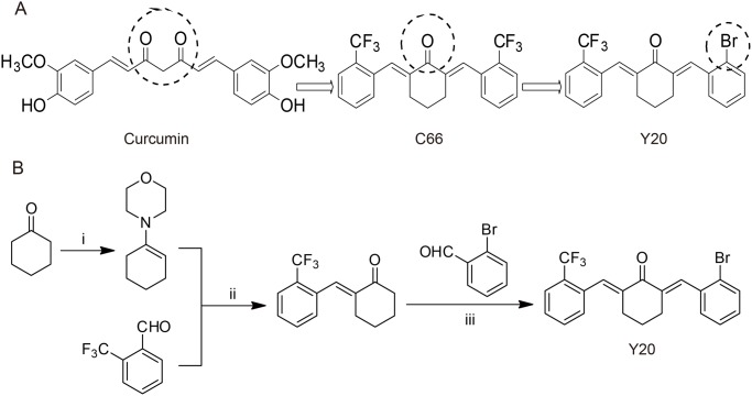 Fig 1