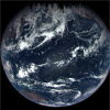 Fig. 4