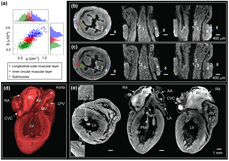 Fig. 5.