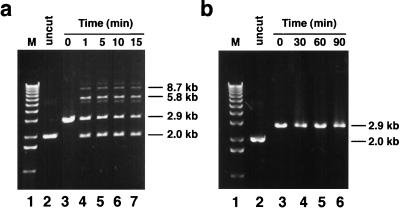 FIG. 6