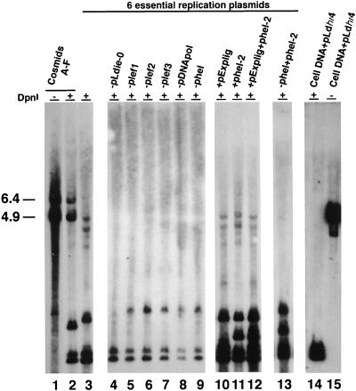 FIG. 7