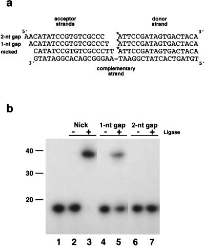 FIG. 5