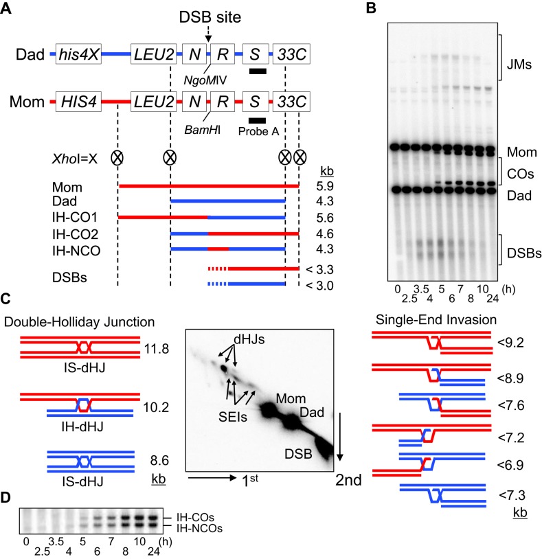 Figure 1.