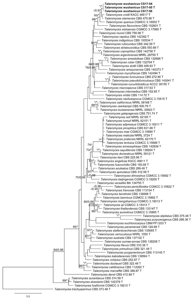 Figure 5