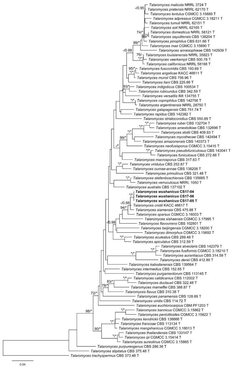 Figure 6