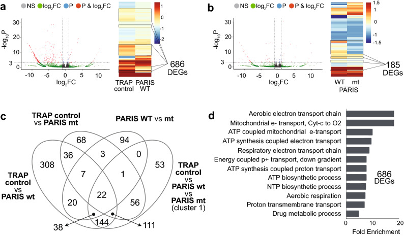 Figure 2 