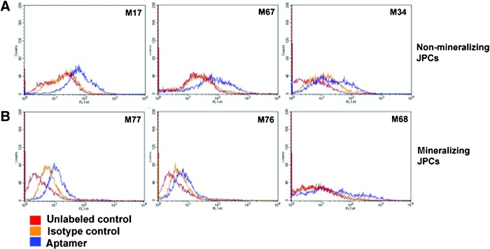 FIG. 6.