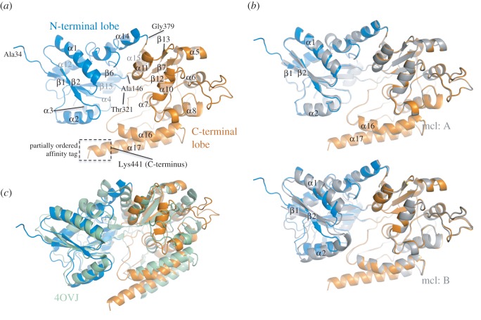 Figure 1.