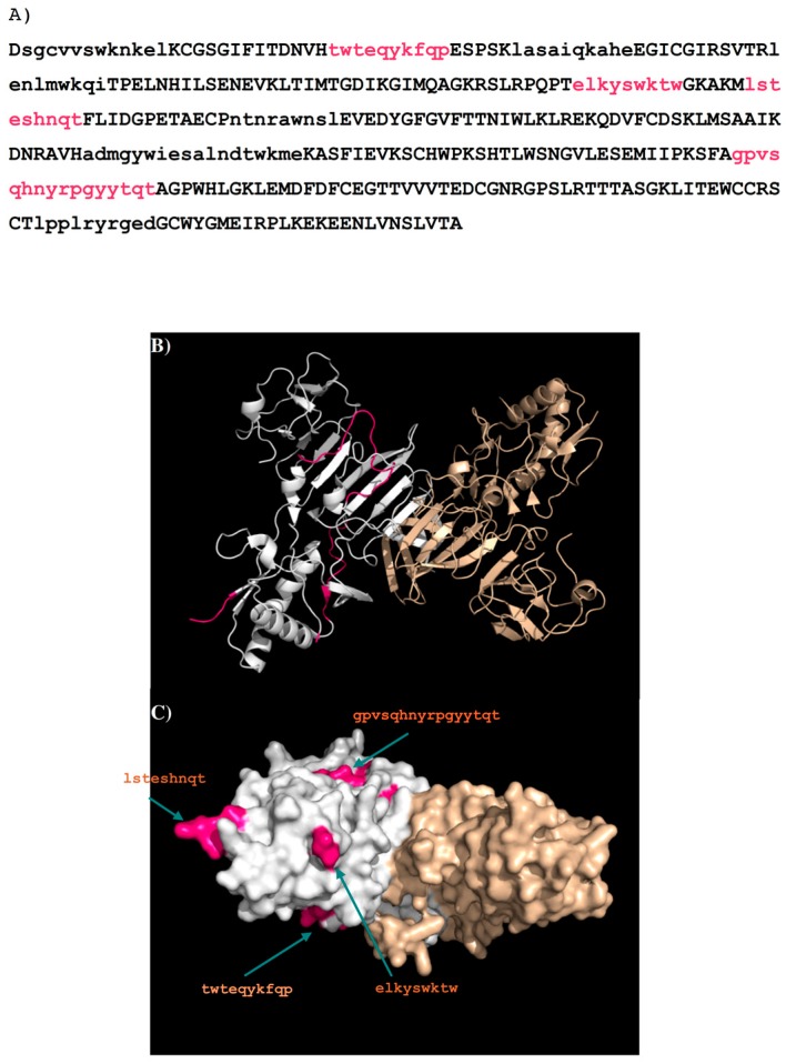 Figure 12