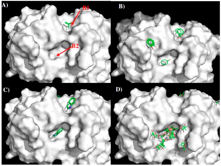 Figure 7