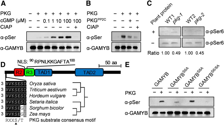 Figure 7.