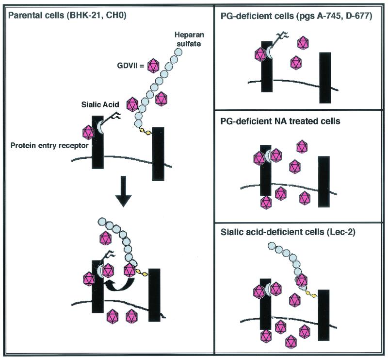 FIG. 8.