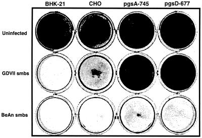 FIG. 6.