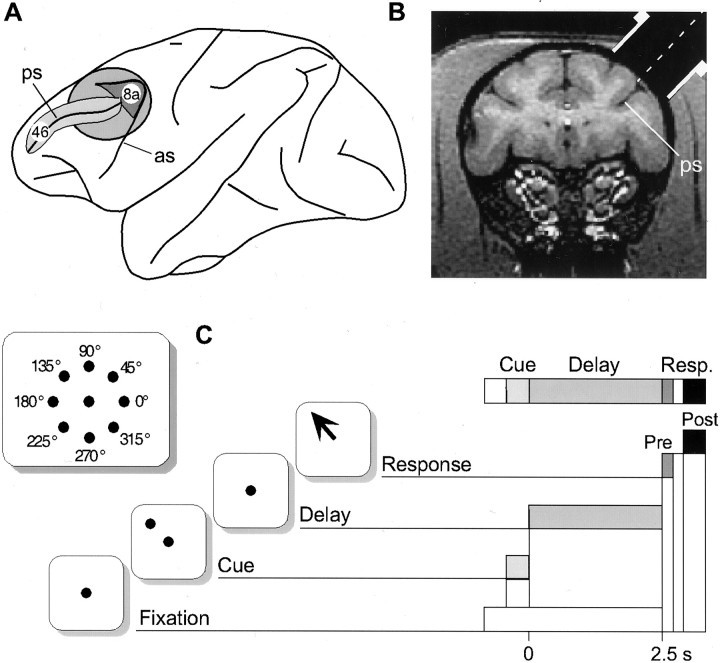 Fig. 1.