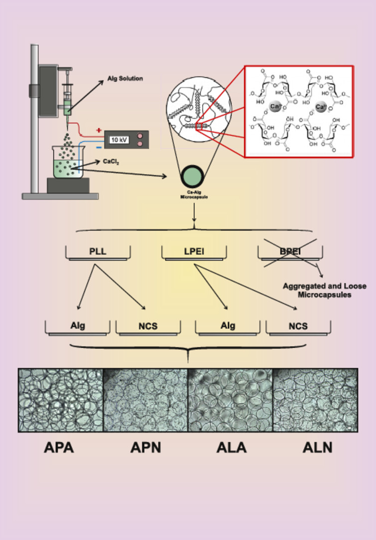 Image, graphical abstract