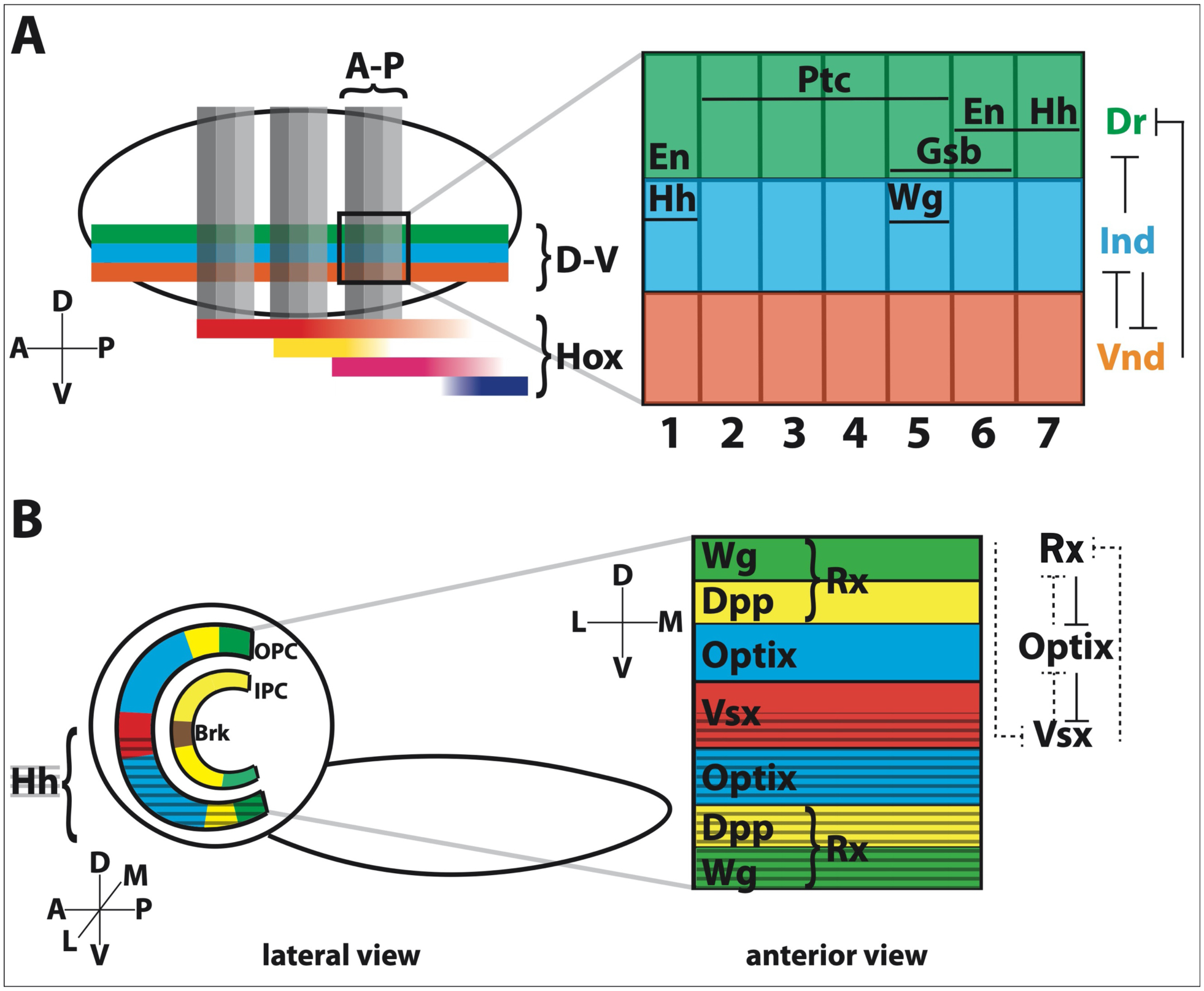 Figure 1.