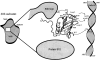 Fig. 9.