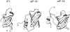 Fig. 7.