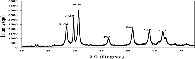 FIGURE 4