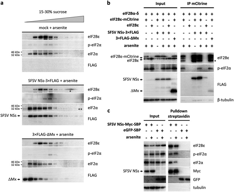 FIG 6