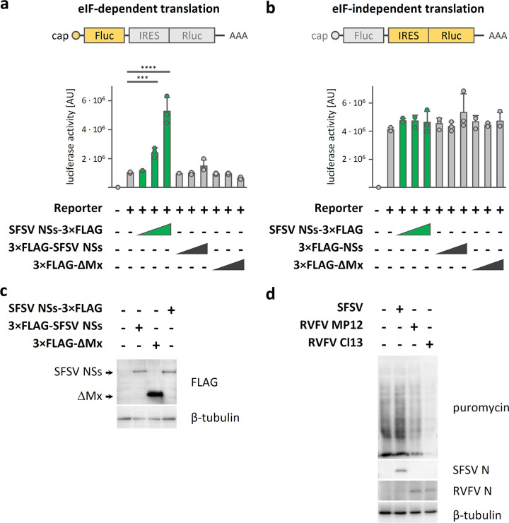 FIG 3