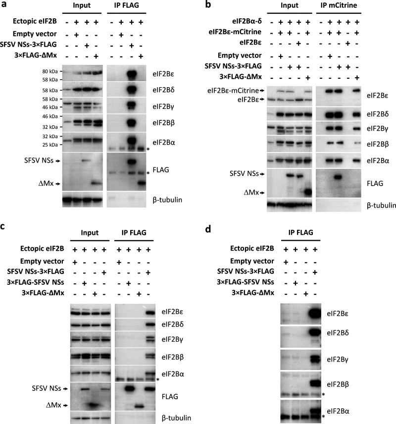 FIG 4