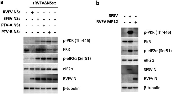 FIG 2