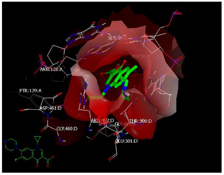 Figure 5