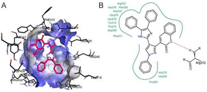 Figure 10