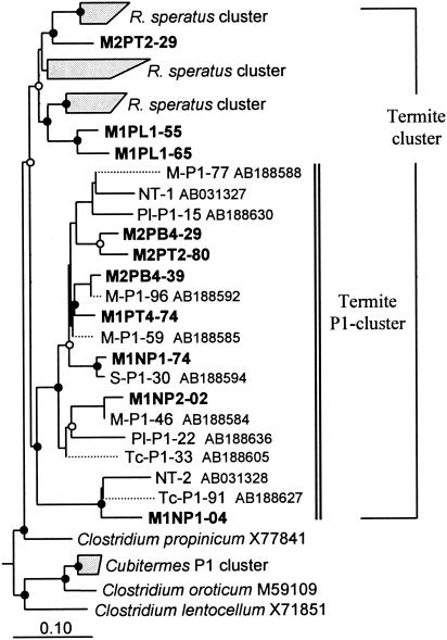 FIG. 8.