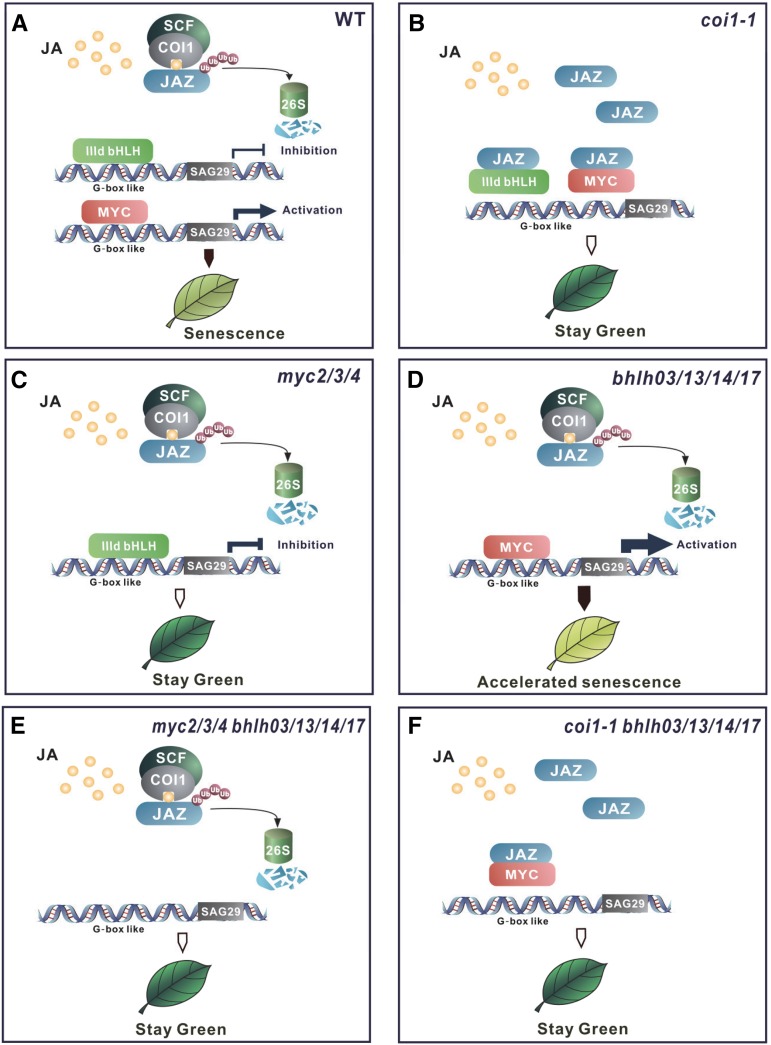 Figure 10.