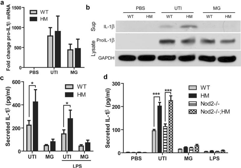 Figure 5