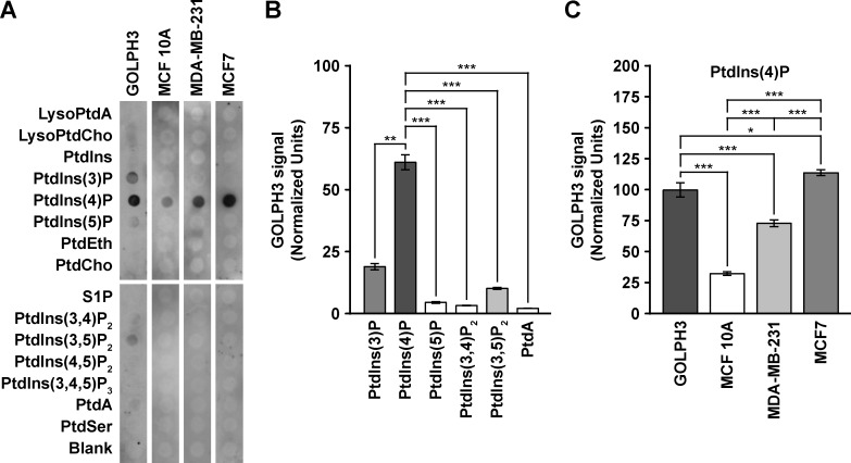 Fig 8