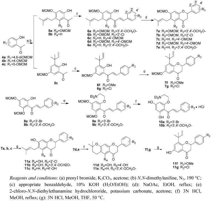 Scheme 1