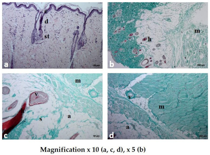 Figure 10