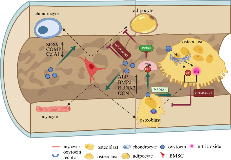 Figure 2