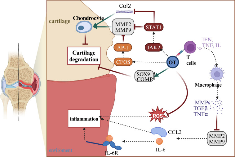 Figure 4