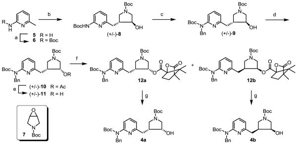 Scheme 1