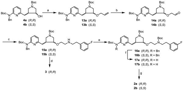 Scheme 2