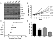 Fig. 1.