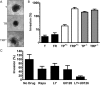 Fig. 3.