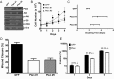 Fig. 4.