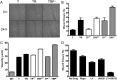 Fig. 2.