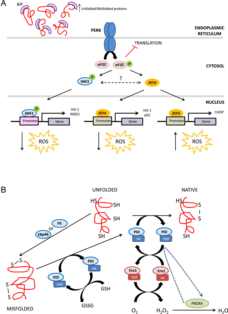 Fig. 6.