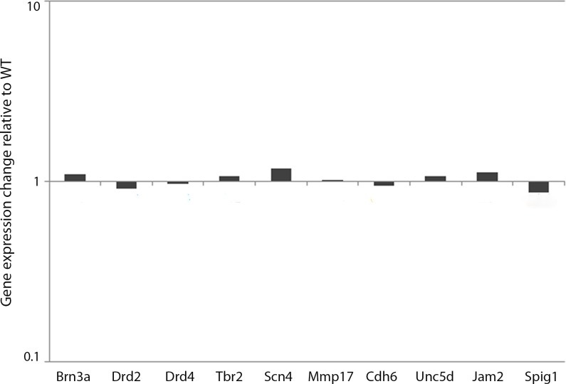 Fig 6