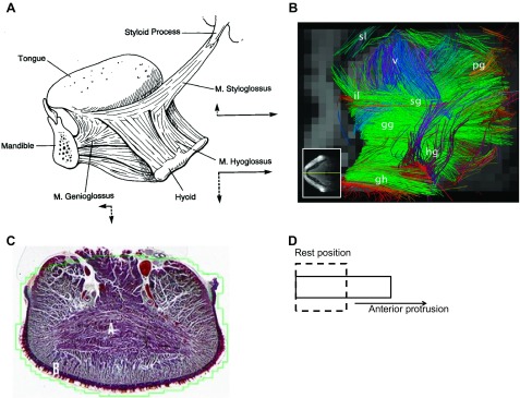 Fig. 1.