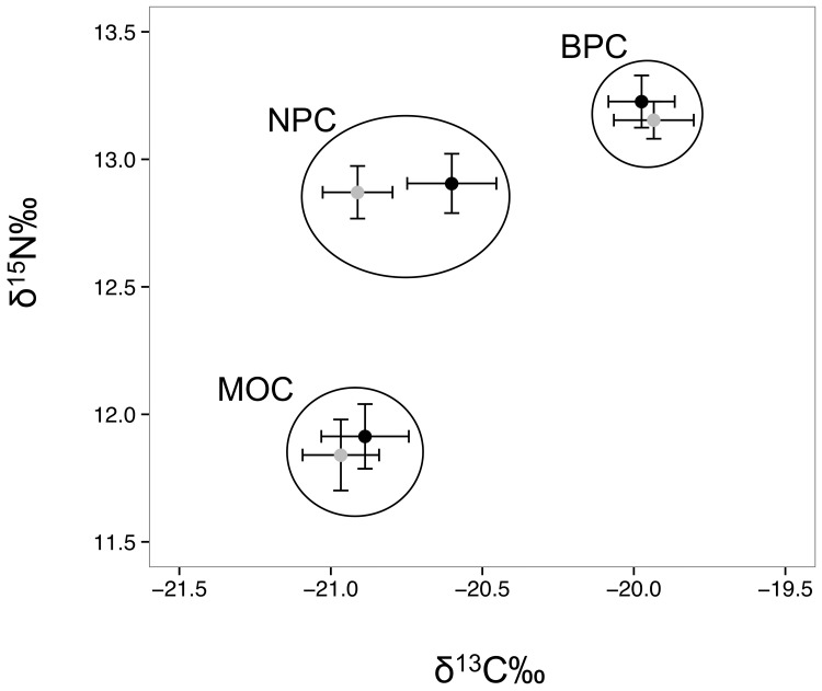 Fig 5