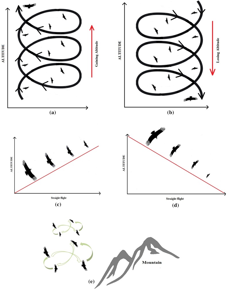 Fig. 2